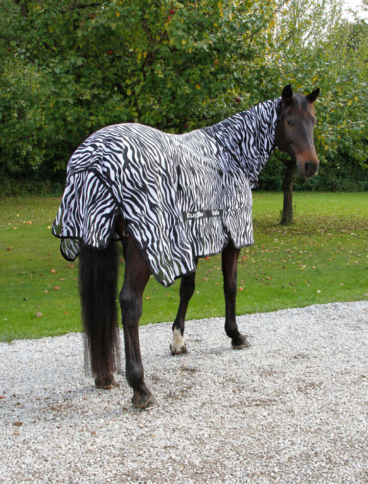 Covalliero Fliegendecke RugBe Zebra mit Halsteil